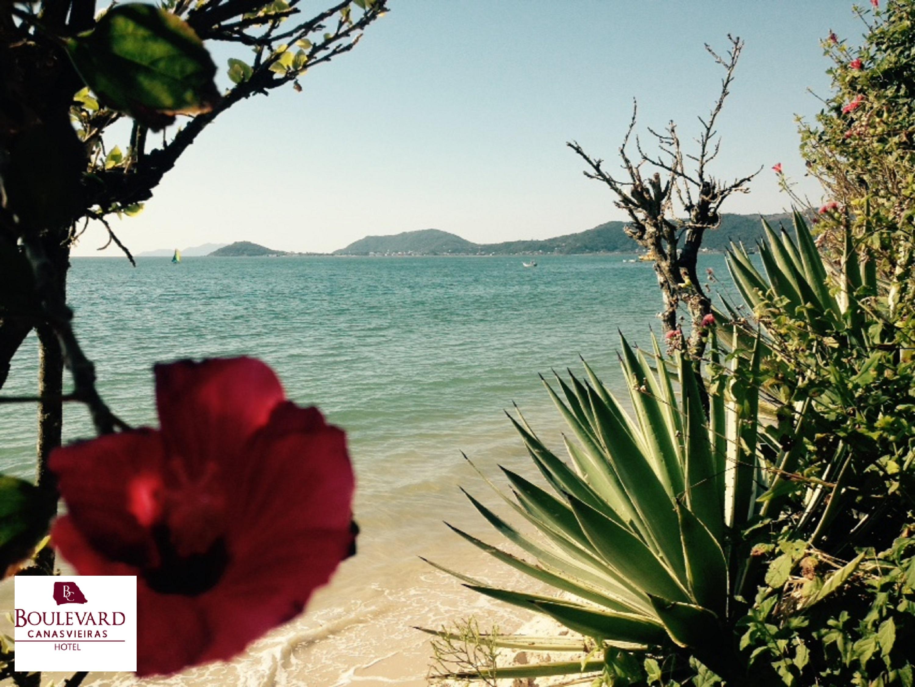 Boulevard Beach Canasvieiras Hotel Florianópolis Kültér fotó